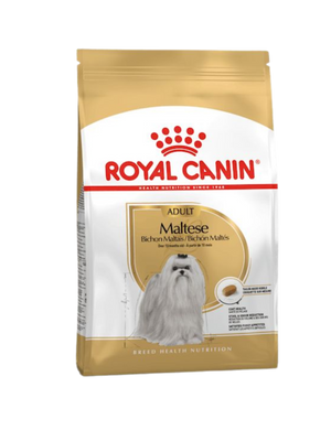 Royal Canin Bichon Maltais Adult