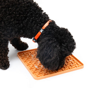 Martin Sellier Tapis de Léchage Silicone Carré