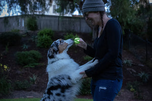 Chuckit! Max Glow Ultra Squeaker Ball