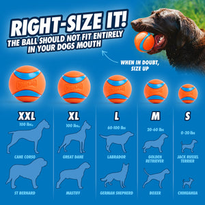 Chuckit! Ultra Squeaker Ball