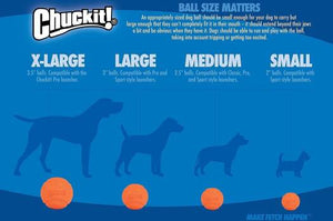 Chuckit! Fetch Ball