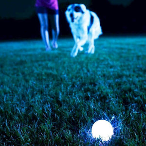 Chuckit! Max Glow Fetch Ball
