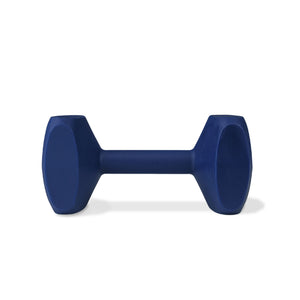 Coachi training dumbbell