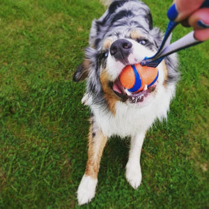 Chuckit! Ultra Tug
