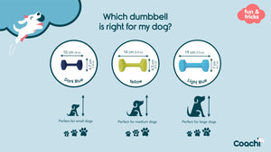Coachi training dumbbell