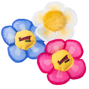 Yeowww! Catnip Daisy Flowers