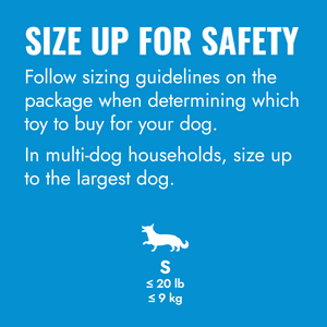 KONG Puppy Flyer