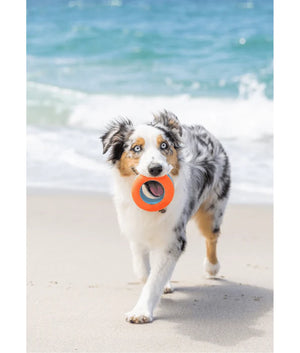 Chuckit! Amphibious Roller