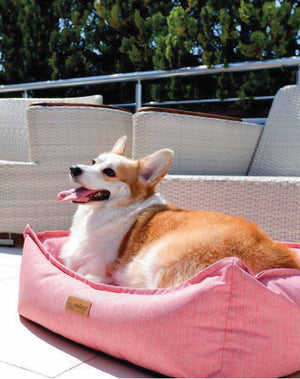 DUBEX Licorice Bed