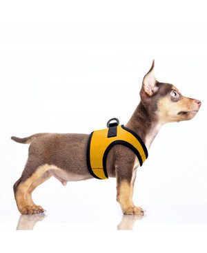 Milk & Pepper Veste Harnais ERWAN Jaune