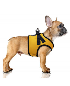 Milk & Pepper Veste Harnais ERWAN Jaune