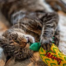 Yeowww! Catnip Pineapple