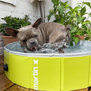 Martin Pool pour chiens