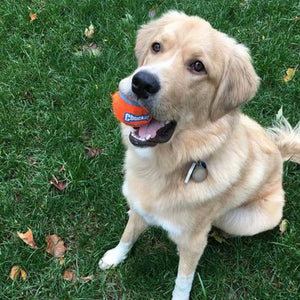Chuckit! Tennis Balls