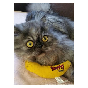 Yeowww! Catnip Banana