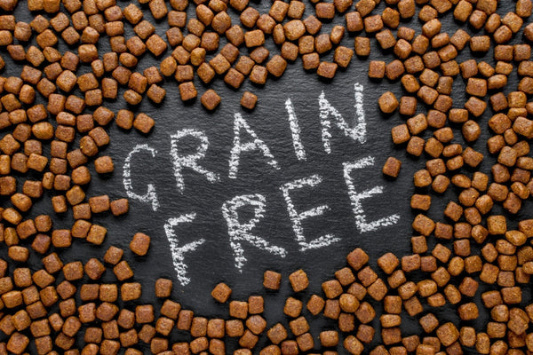 Alimentation Grain Free pour chien : est-ce vraiment mieux ?