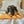 Martin Sellier Peluche Les Frenchies Baguette