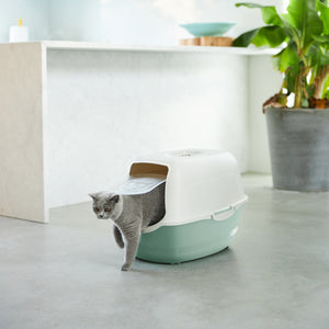Bailey Maison de Toilette pour chats