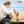 FLEXI Laisse New Comfort Sangle 5 m