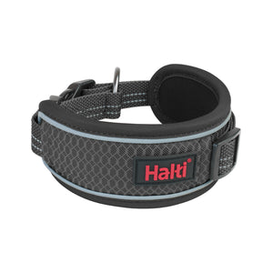 Halti Collier Anatomy
