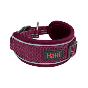 Halti Collier Anatomy
