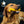 Tasty Bone - Super Tough Bone Toy pour grandes races