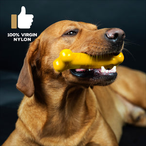 Tasty Bone - Super Tough Bone Toy pour grandes races