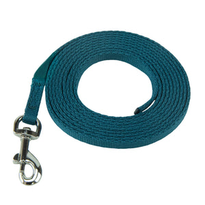 Coachi Longe d'Entrainement pour chiots et chiens mini 2.5 m