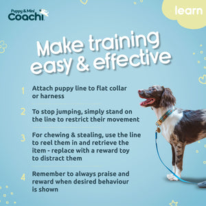Coachi Longe d'Entrainement pour chiots et chiens mini 2.5 m