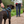 Halti Harnais Walking