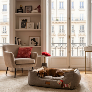 Monpeo Le Petit Parisien Brown Bed