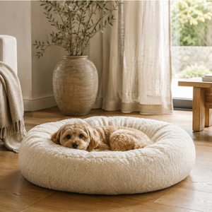 Monpeo Planet Bed