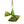 EARTH RATED Distributeur de sacs à crottes