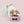 Gamelle PAPPY