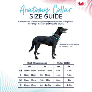 Halti Collier Anatomy