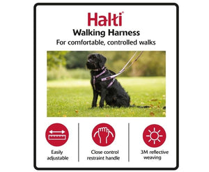 Halti Harnais Walking