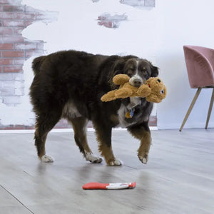 Kong Comfort Pups Goldie M