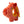 Kong Ringaroos Pig M