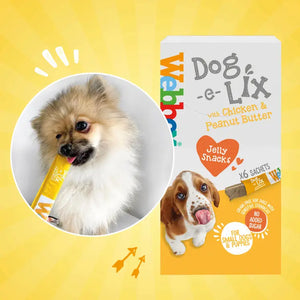 Webbox Dog e Lix with Chicken & Peanut Butter Creamy Dog Treats 90g