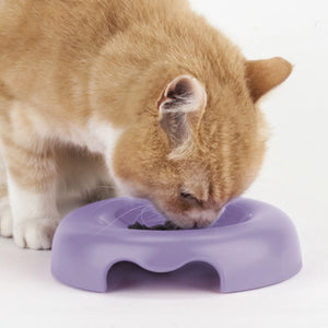 Kitty Gamelle pour chats