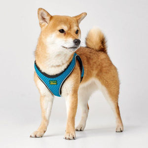 Hunter Harnais Hilo design premium pour chien | Pet Me ! Casablanca