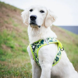 Martin Sellier Harnais Mesh Camouflage respirant pour chien | Pet Me ! Casablanca