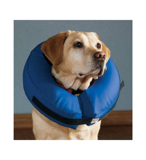 Leopet Collerette Gonflable pour Chiens & Chats Anti Léchage