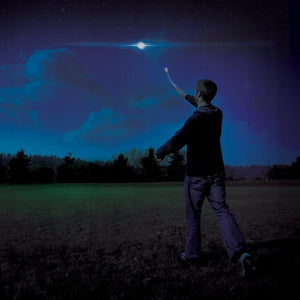 Chuckit! Max Glow Fetch Ball