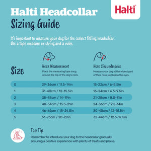 HALTI Headollar Licol