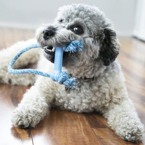 KONG Goodie Bone - XS