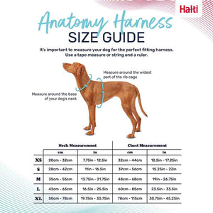 Halti Harnais Anatomy