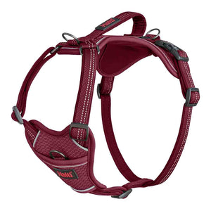 Halti Harnais Anatomy