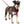 Halti Harnais Comfy Rouge