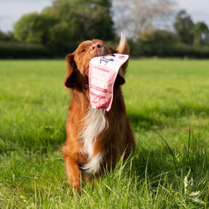 Hownd - Got An Itch? Plant Based Wellness Treats 100g